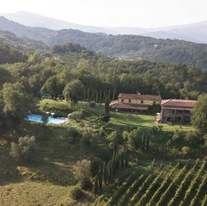 Podere Fedespina: foto panoramica dei vigneti e dell'agriturismo con piscina