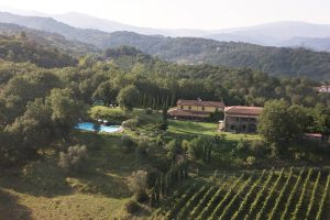 Podere Fedespina e Agriturismo Ca del Bosco