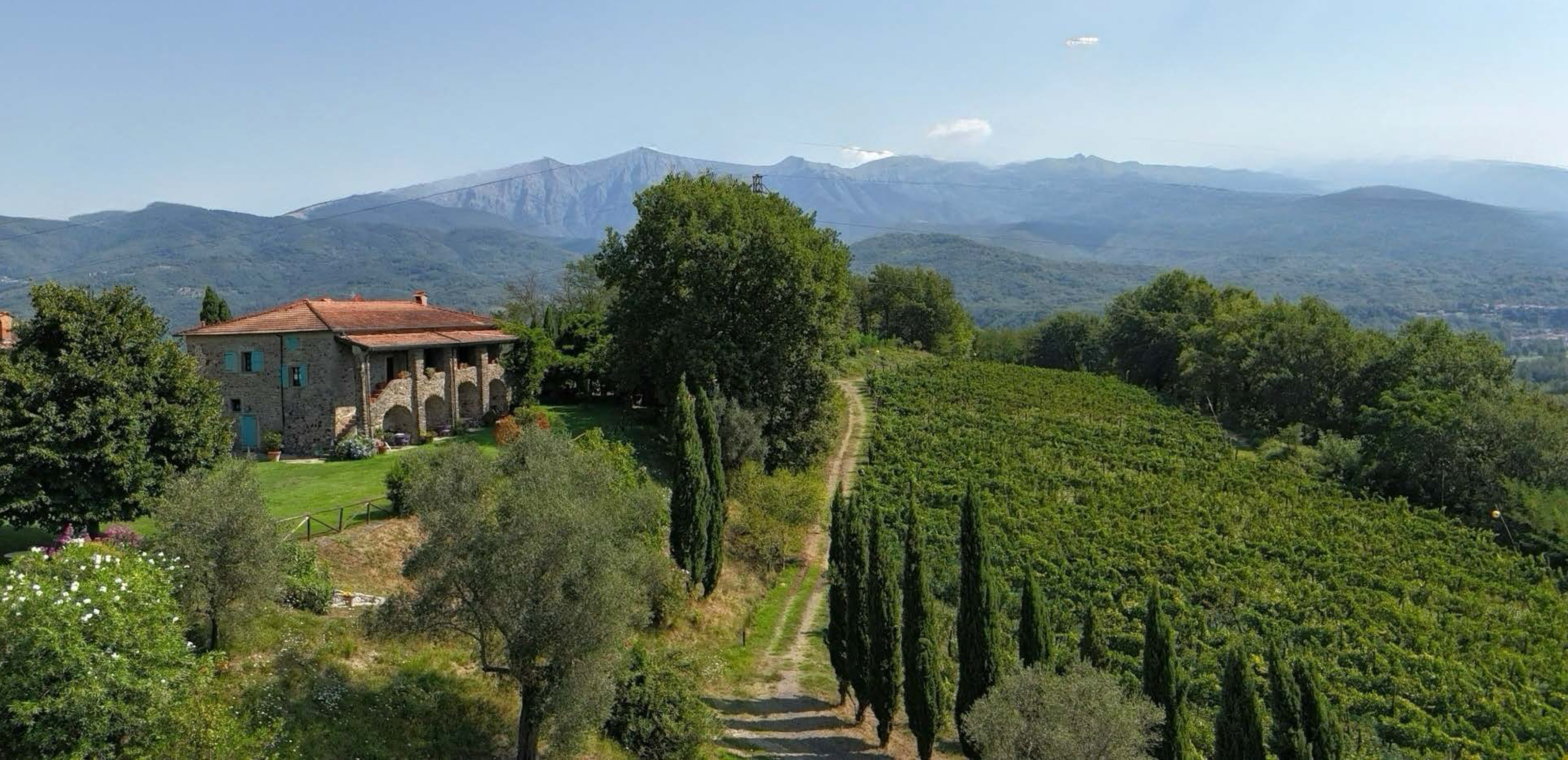 I vigneti e il podere tra le colline della Lunigiana